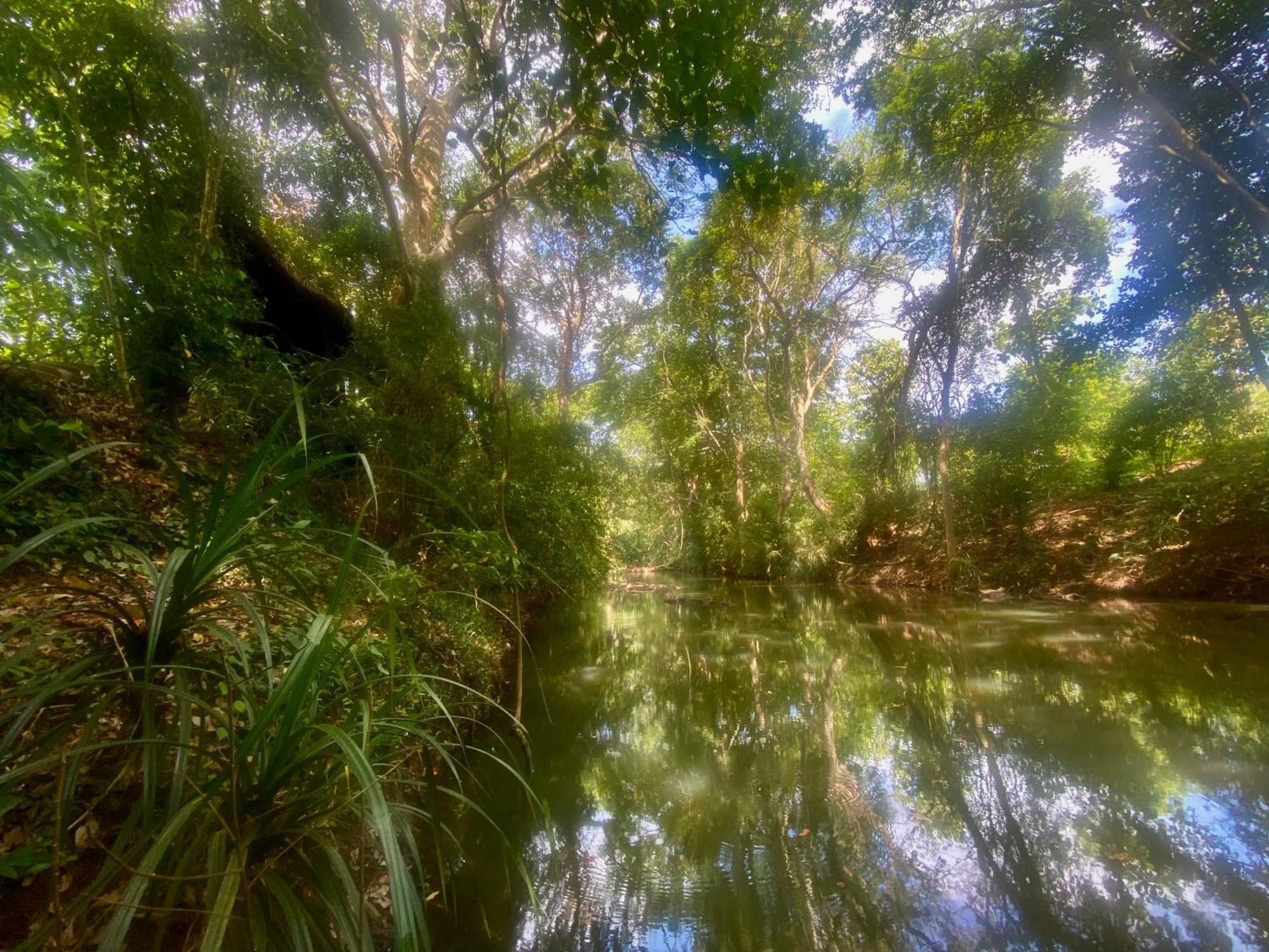 Chika'S Place River View Udawalawa Удавалаве Екстер'єр фото